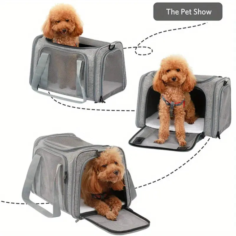 Voyager Pet Carrier by FurrieHub